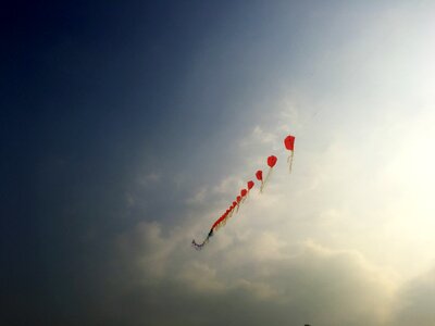 Fy red kite