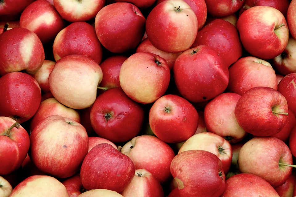 Fruits harvest autumn