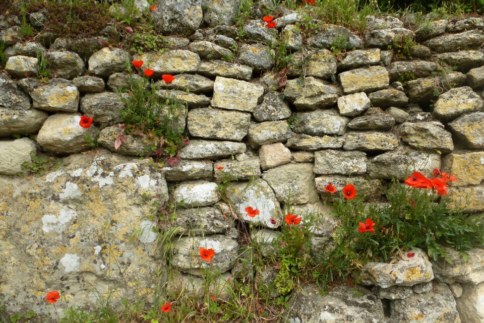 Background old wall crumbled wall