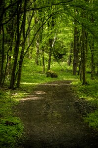 Nature travel landscape photo