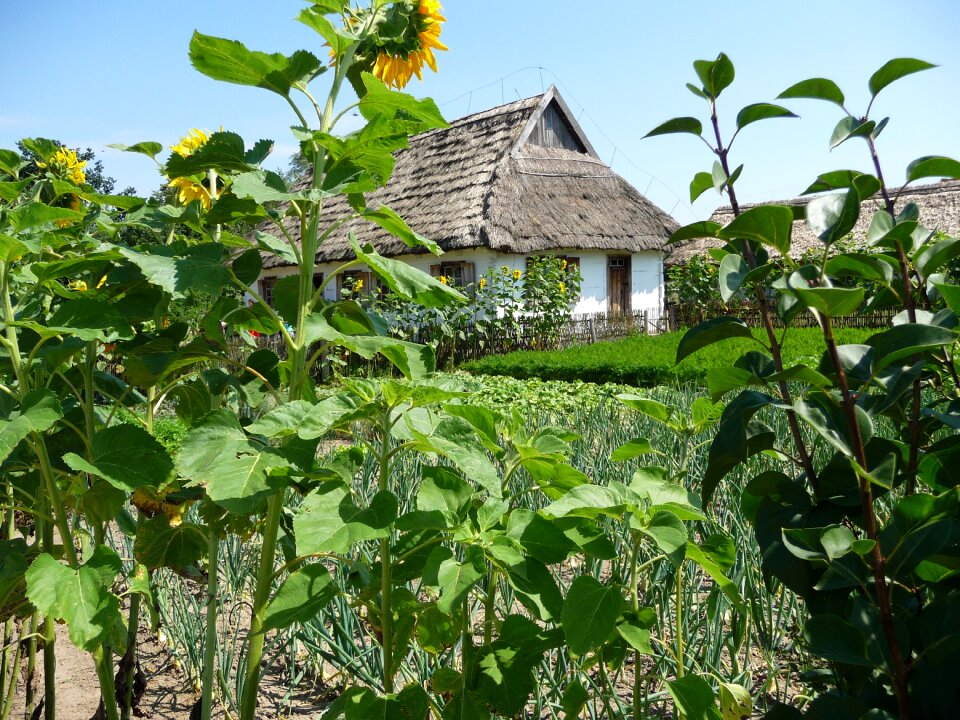 Village holidays summer