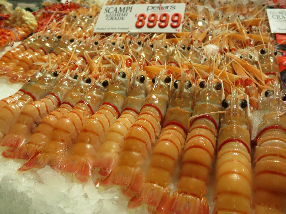 Food seafood fresh