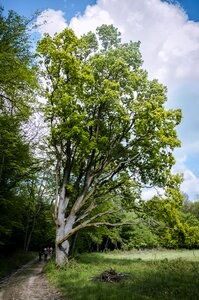Nature travel landscape