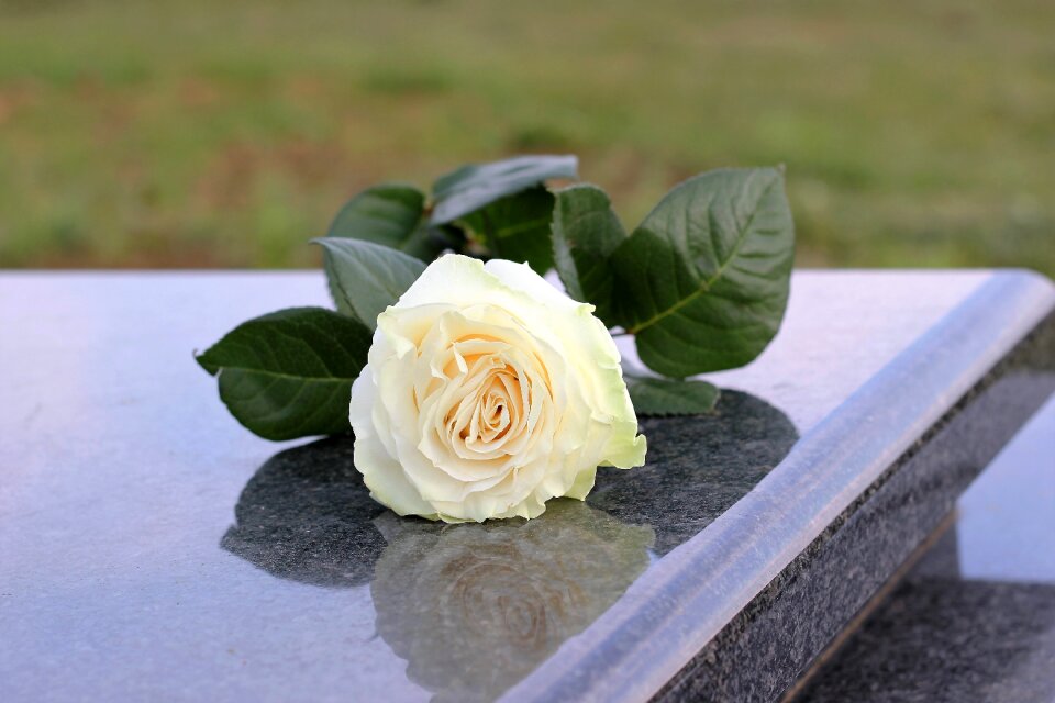 Love missing remembering