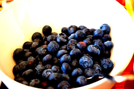 Food healthy berry photo