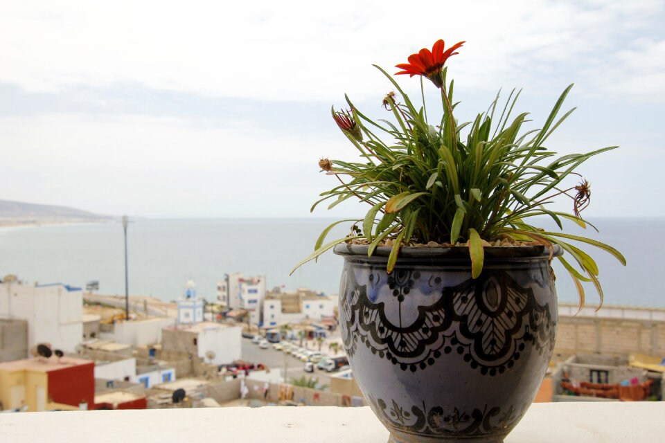 Clay pot outlook view