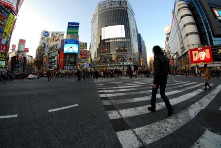 Street shibuya traffic photo
