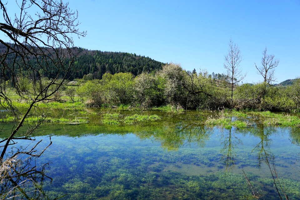 Nature landscape water photo