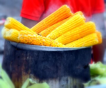Vegetable yellow fresh