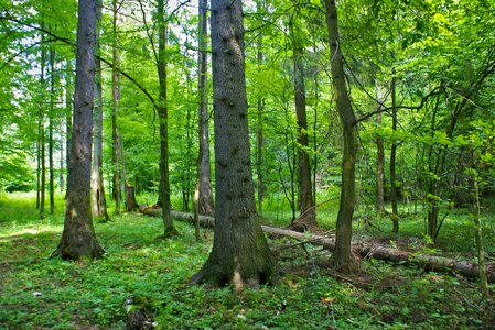 Nature summer holidays