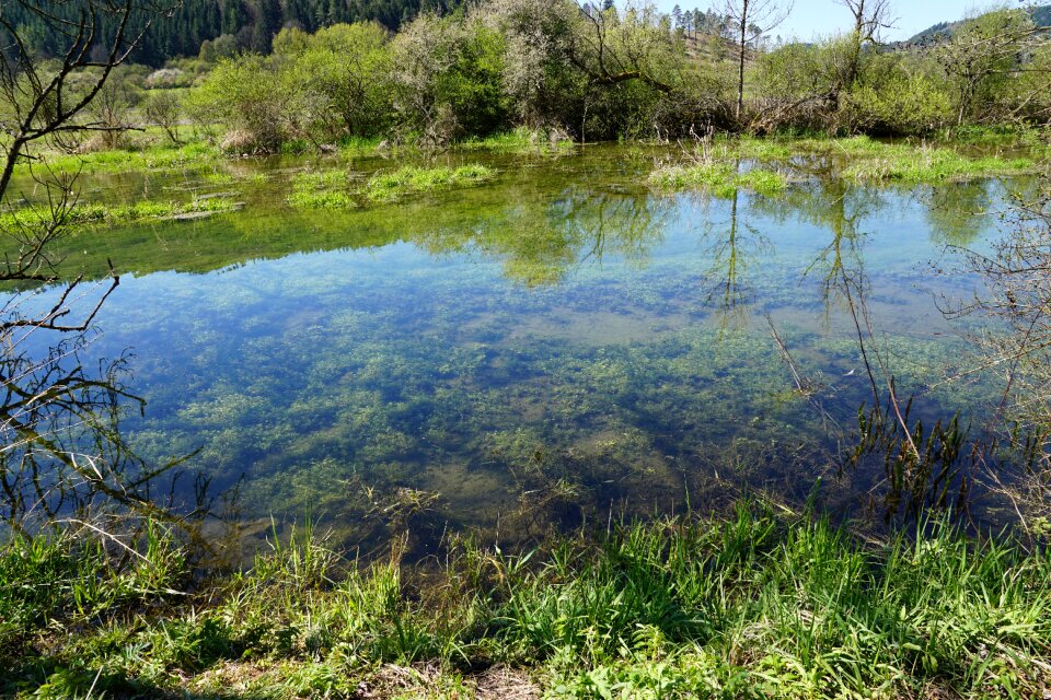 Nature landscape water