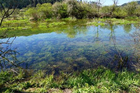 Nature landscape water