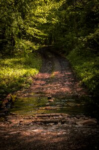 Nature travel touristic