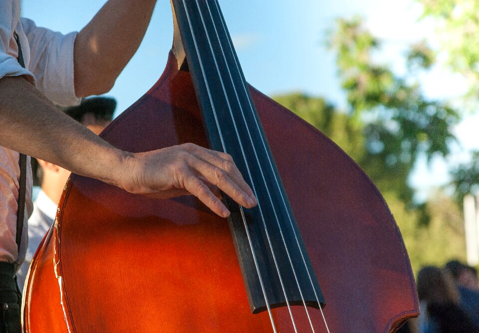 Music strings orchestra