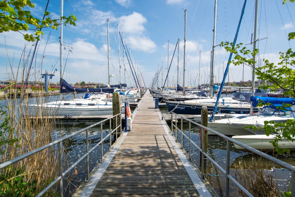 Water sea harbor