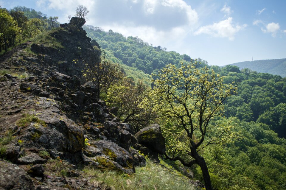 Nature travel landscape
