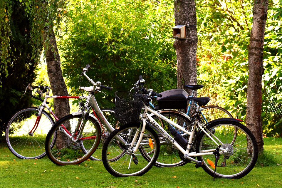 Wheel cycling sport