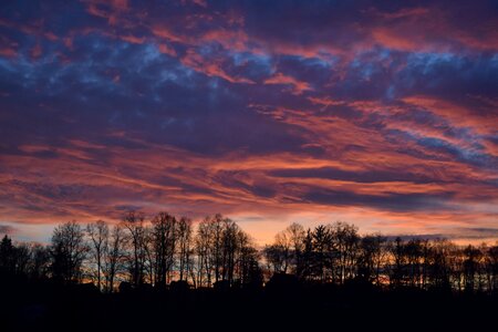 Sky sunset trees