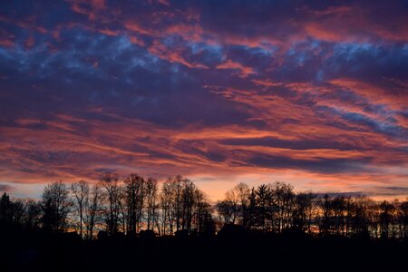 Sky sunset trees photo