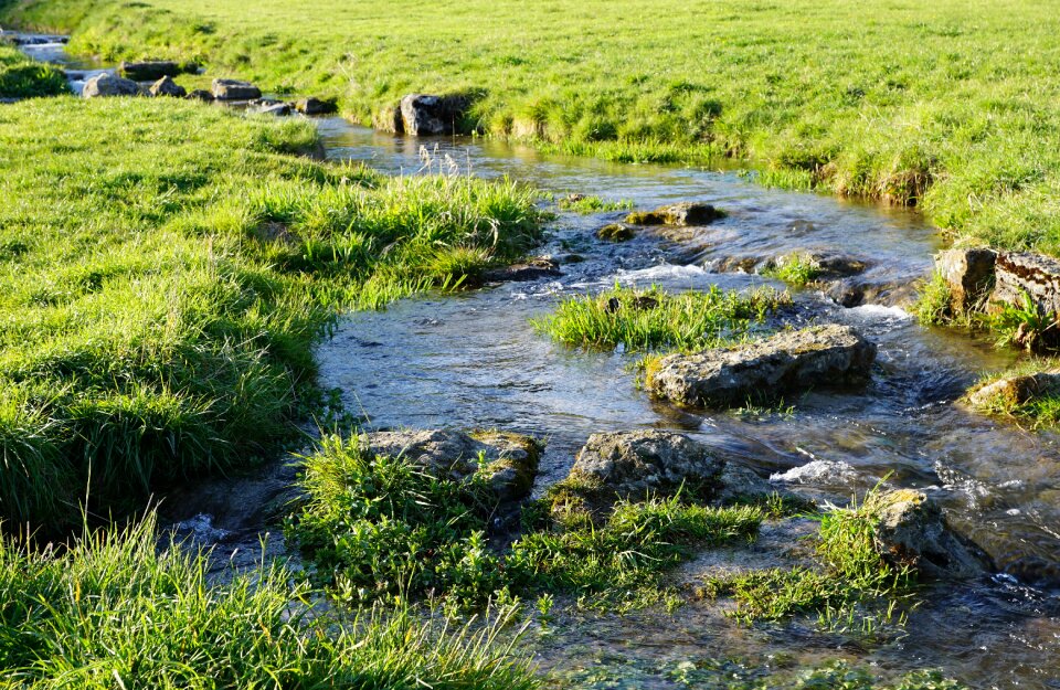 Nendingen village nature photo