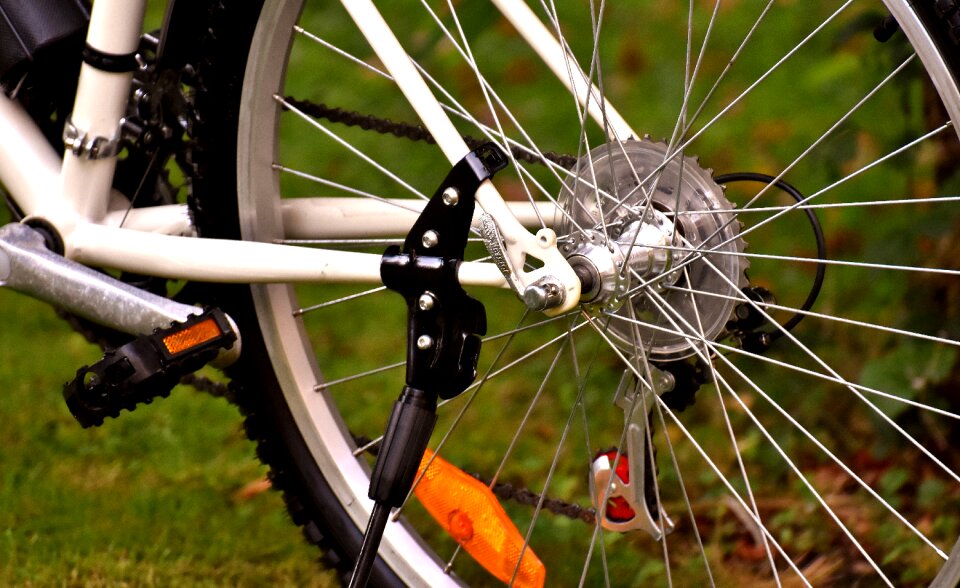 Spokes mature rim