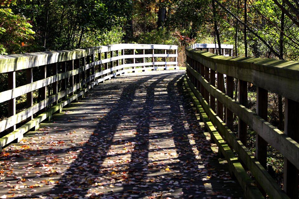 Scenic leaves bridge