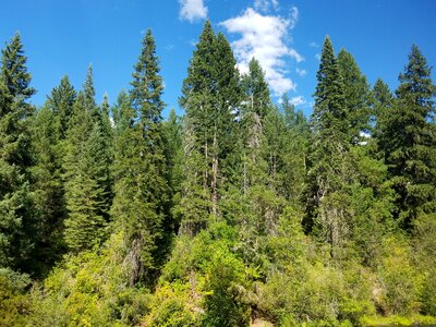 Oregon nature landscape