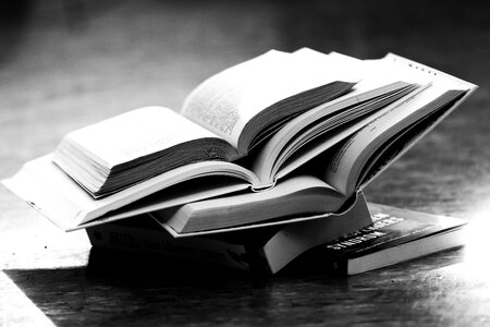 Knowledge read gray book photo
