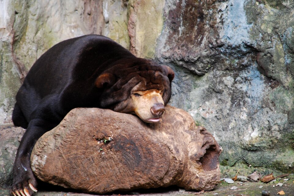 Nature sleep adventure