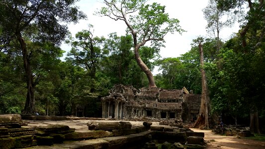 Cambodia temple roots