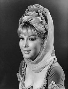 Tv series i dream of jeannie