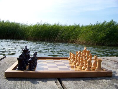 Chess pieces the basic position staunton