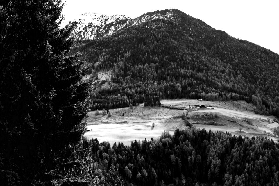 Nature agriculture meadow
