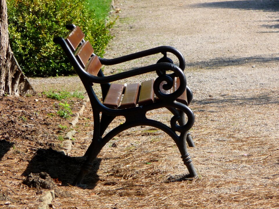 Autumn rest sun