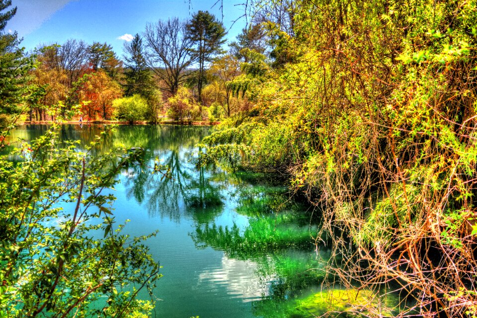 Nature landscape water