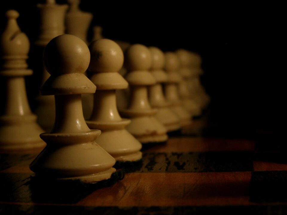 Win the board black