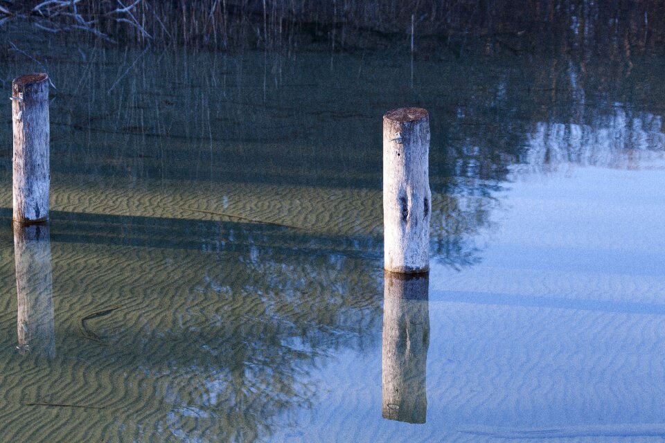 Wooden posts nature bank