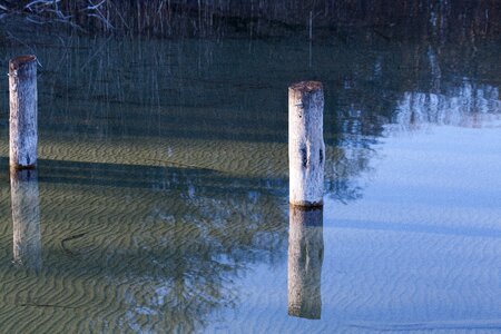 Wooden posts nature bank