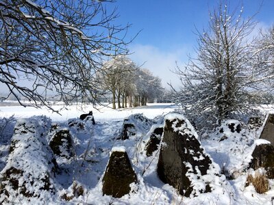 West wall siegfried line nature