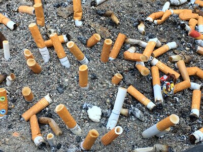 Unhealthy filter tobacco photo