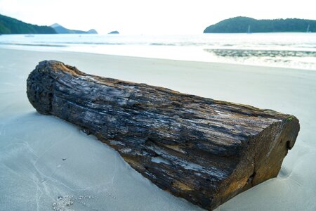 Beach beautiful landscape