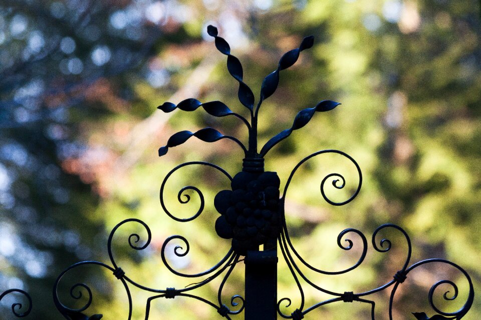 Old antique ornament