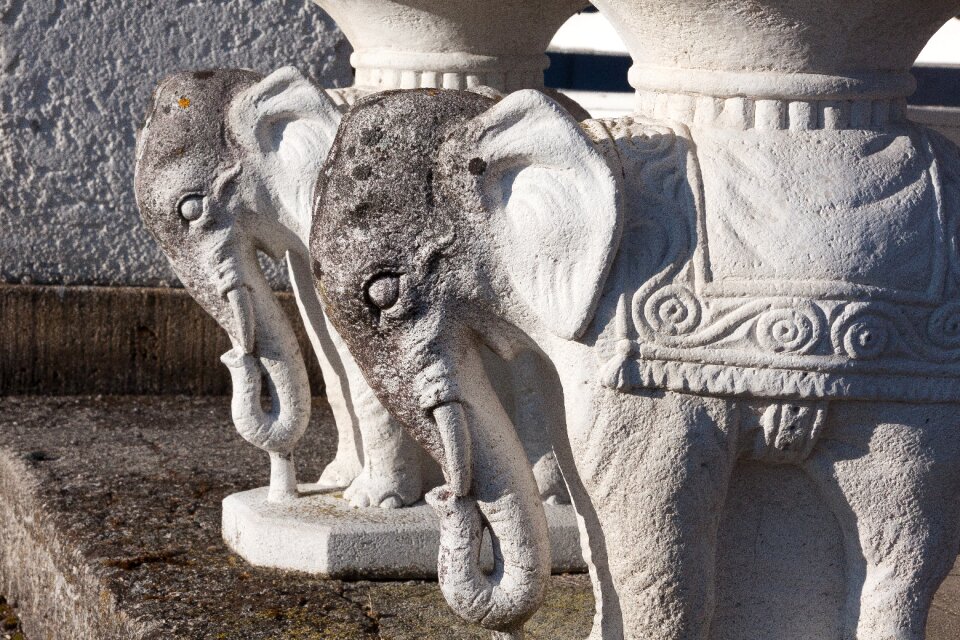 Statue art proboscis