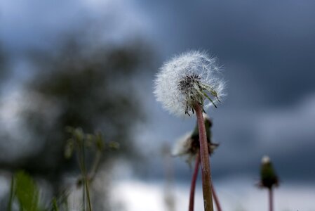 Backlighting sky macro