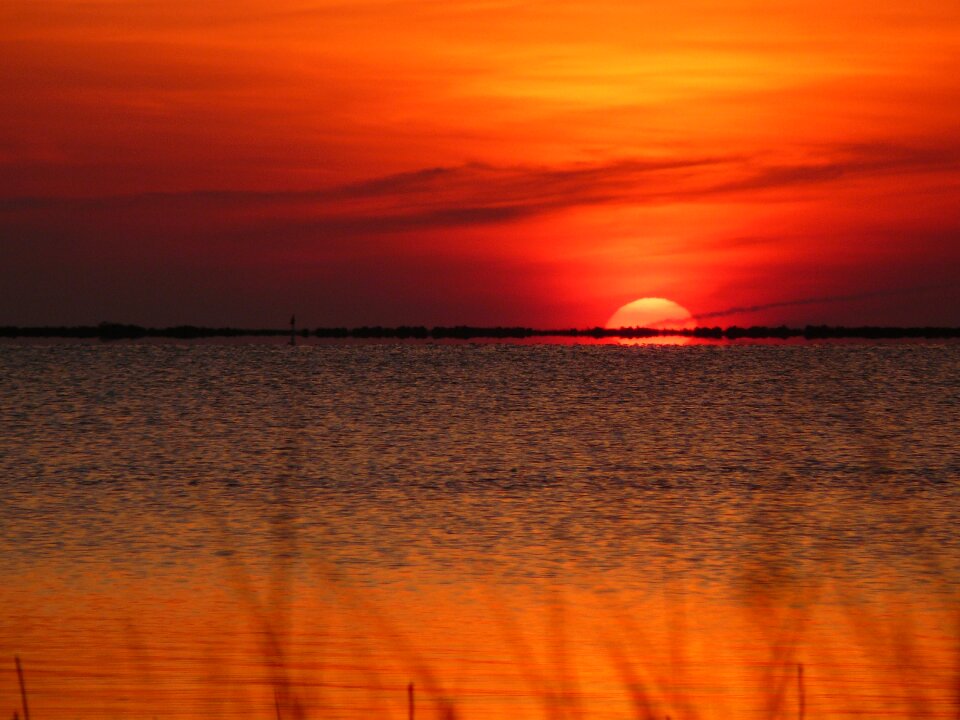 Ocean grass sun
