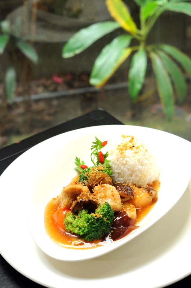 Chestnut almond abalone braised vegetables western western cuisine