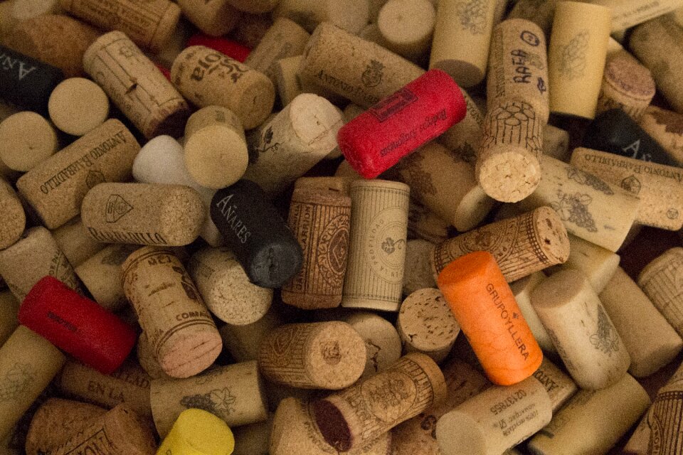 Plugs oenology cap