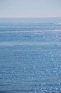 Horizon sea blue