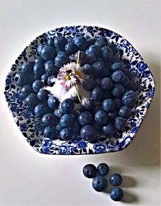 Blueberry soft fruit fruits photo