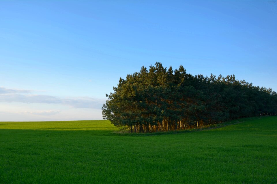 Green blue sky